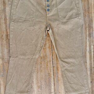 Torrid Khaki Button-Fly denim